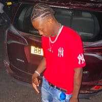 TikTok Account - ansleyofficiel2