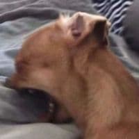 TikTok Account - rdf3l