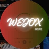 TikTok Account - wejox_prod0