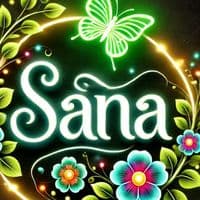 TikTok Account - sanaparacha55