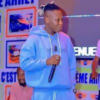 TikTok Account - artiste_de_poulet00