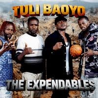 TikTok Account - the_expandables04