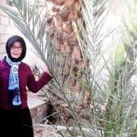 TikTok Account - zidni0110