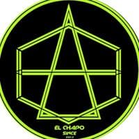 TikTok Account - official_elchapoo