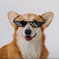 TikTok Account - gabriel10_9