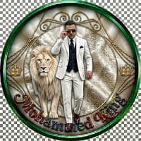 TikTok Account - mecherfimohammed4