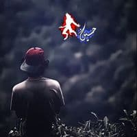 TikTok Account - h_star8