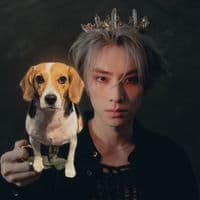 TikTok Account - im_xj