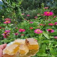 TikTok Account - ibrahimov_ll