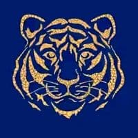 TikTok Account - hannyboyke