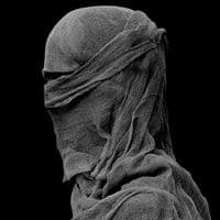 TikTok Account - the1.one_