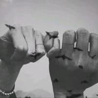 TikTok Account - h_u_s28