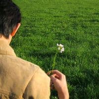 TikTok Account - thieu.nhachoa