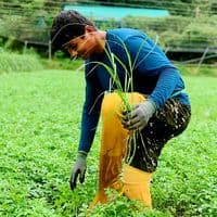 TikTok Account - laxman.bal25