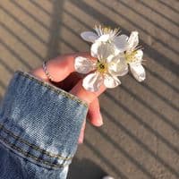 TikTok Account - 4overly