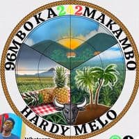 TikTok Account - hardymelo96