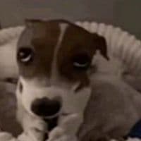 TikTok Account - maryaawq