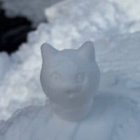 TikTok Account - jikundoo