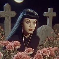 TikTok Account - polly_bazarova