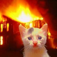 TikTok Account - crumble412