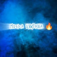 TikTok Account - musicaurbana_10