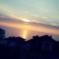 TikTok Account - jamillov758