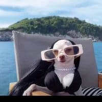 TikTok Account - yeye_fuego