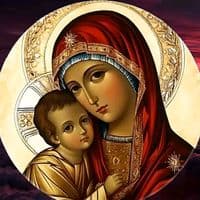 TikTok Account - vera_dobro56