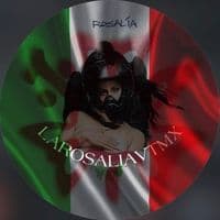 TikTok Account - larosaliavtmx