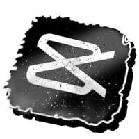 TikTok Account - digox000