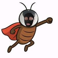 TikTok Account - chipdthw.004