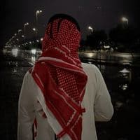 TikTok Account - brins_shilat