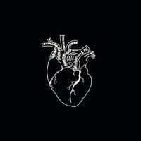 TikTok Account - xlxjxndrx66