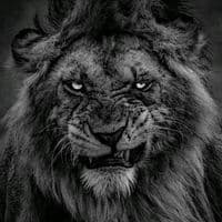 TikTok Account - ieneskrb