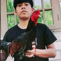 TikTok Account - thet.oo6379