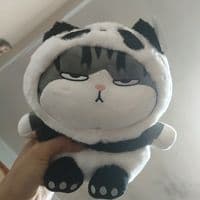 TikTok Account - dix_294