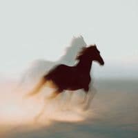 TikTok Account - ktee_cowgirll