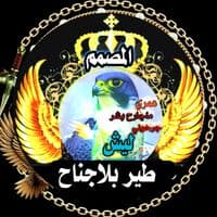 TikTok Account - amaar08_911