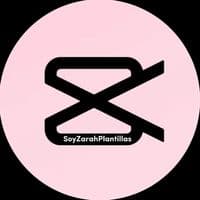 TikTok Account - plantillas_soyzarahh