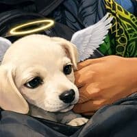 TikTok Account - luisito_lm_