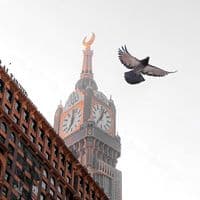 TikTok Account - x.zoz8