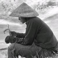 letuankhang2002