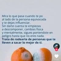 TikTok Account - susana_.1967