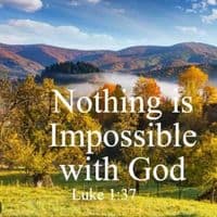 TikTok Account - vhonokona