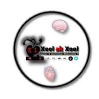 TikTok Account - xel.ak.xool