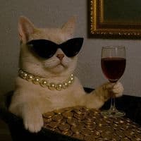 TikTok Account - softlyeni