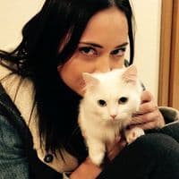 TikTok Account - wemirk_univer