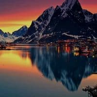 TikTok Account - rexkitty12