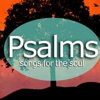 TikTok Account - nana_agyei0