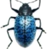 TikTok Account - ele.m_